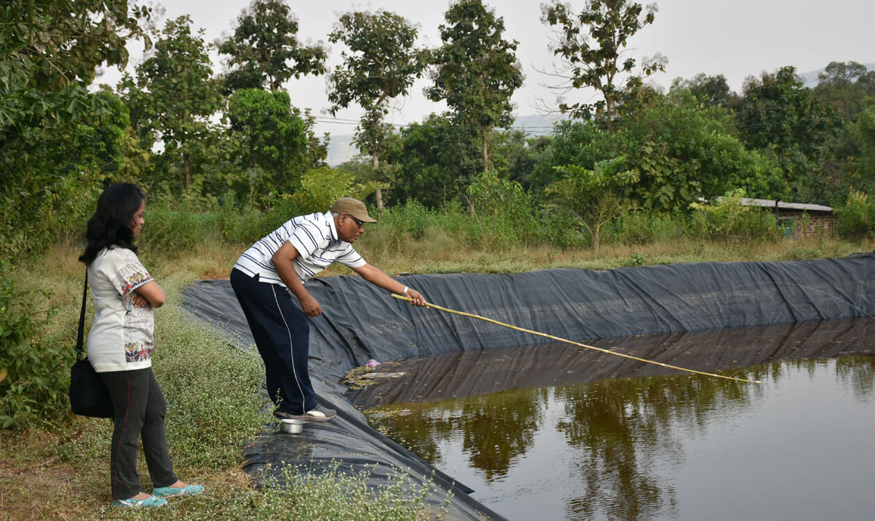 Krishivan Agri Tourism