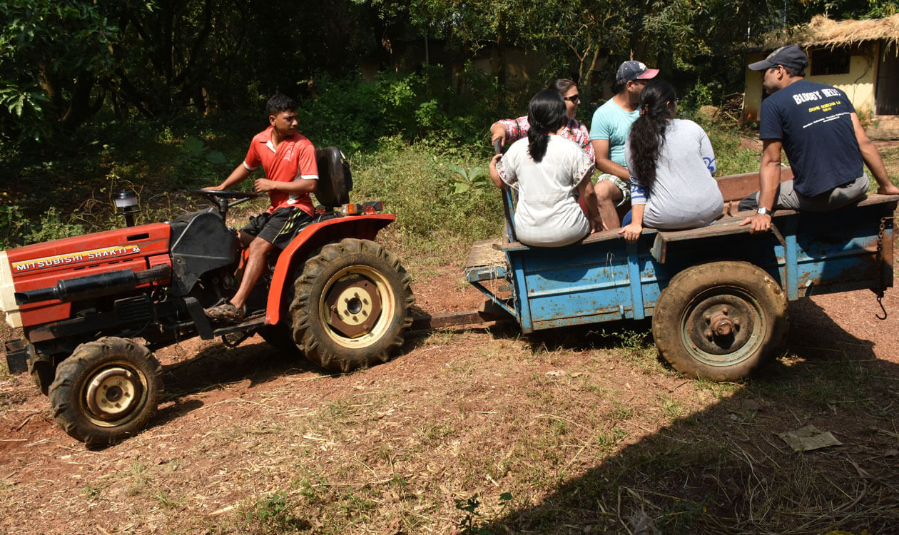 Krishivan Agri Tourism