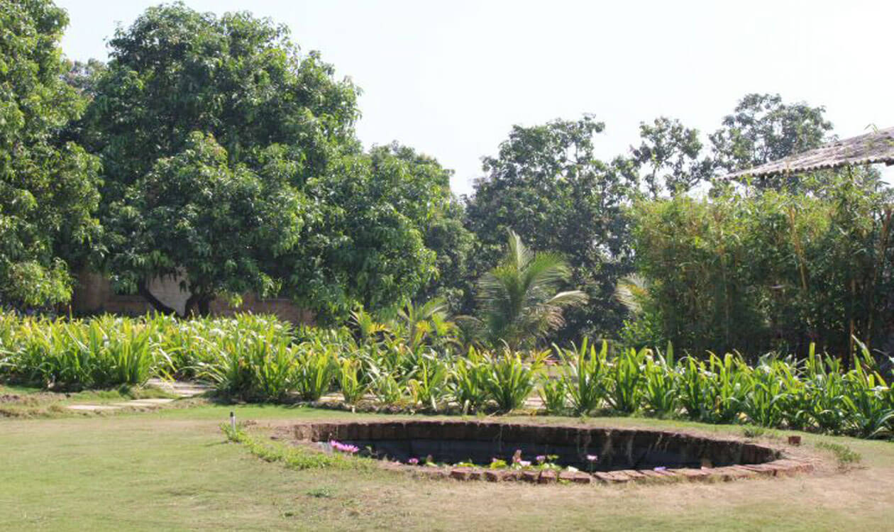 Krishivan Agro Tourism