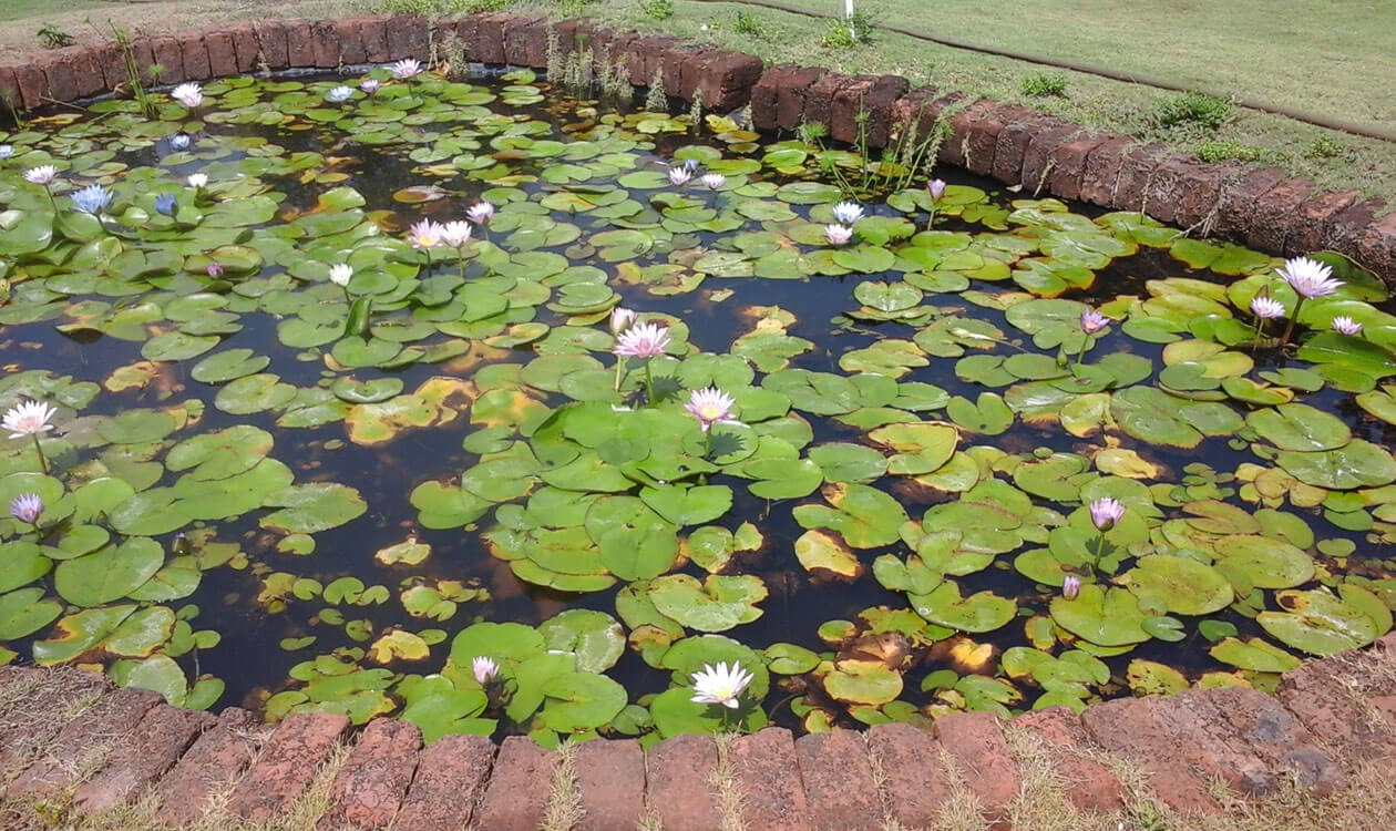 Krishivan Agro Tourism